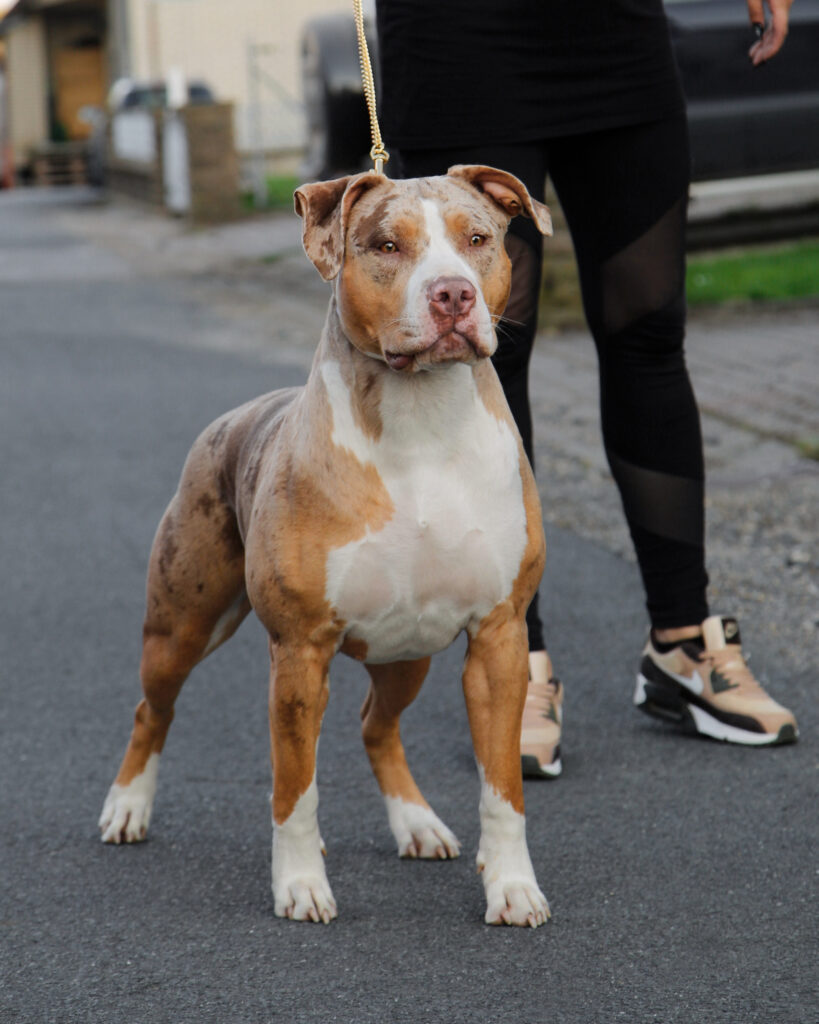 714DB606-44C5-4679-BEC5-70F245A46DDE