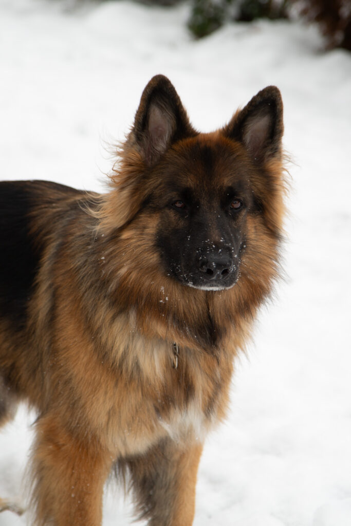 Copy of Babybauch_072